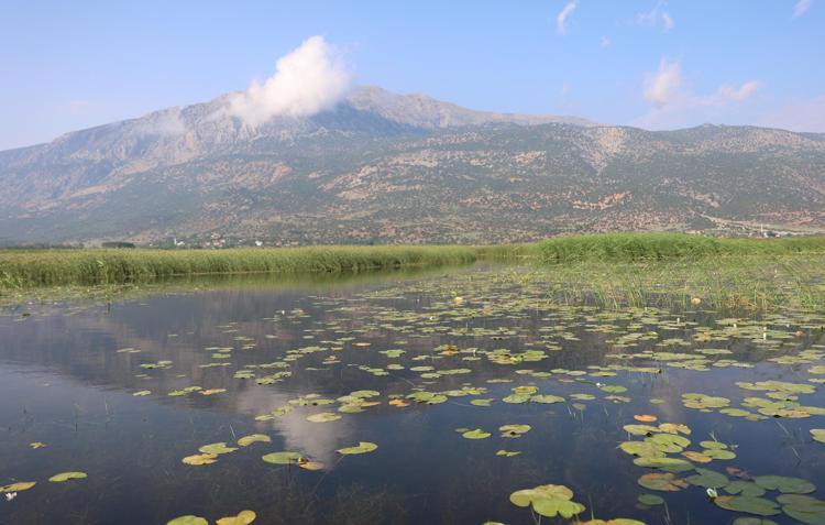 NİLÜFER, AĞUSTOS SONUNDA SULARIN ÇEKİLMESİ İLE BİTİYOR