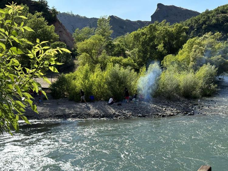 ‘KAZA SEBEBİYLE, KORUNAN CANLI TÜRLERİ YOK OLUYOR’