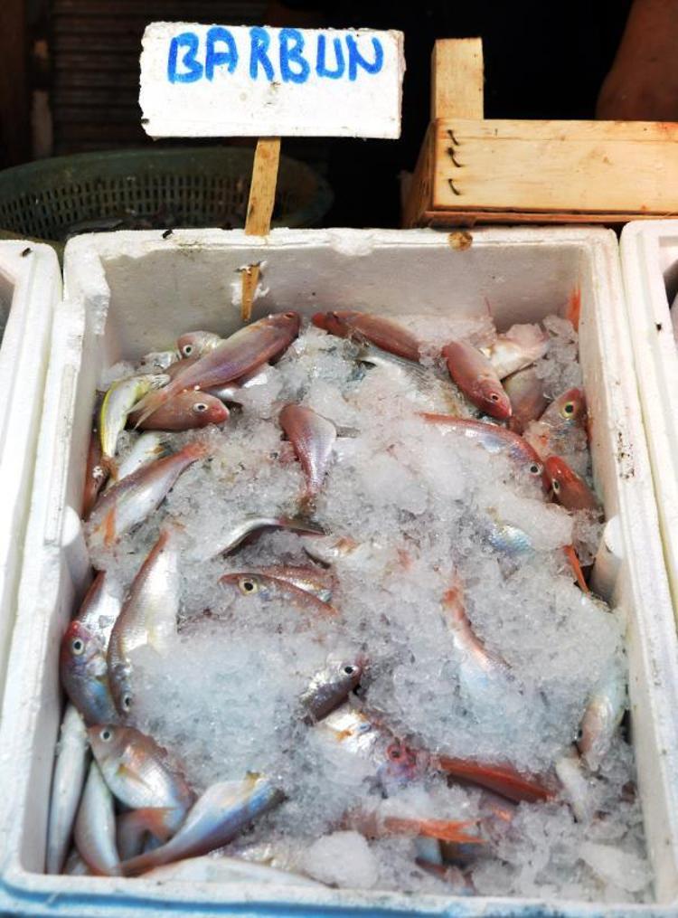 ‘SOFRALARDA YERİNİ ALMAYA BAŞLADI’