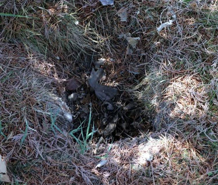 SÖNMÜŞ BİR POPÜLASYONUN YENİDEN AYAĞA KALDIRILMASI ÇOK ZOR BİR OLAY