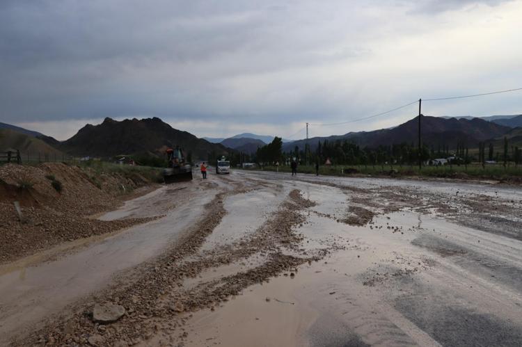 BİN 500 FİDE ZARAR GÖRDÜ