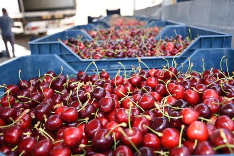 PAZAR SIKINTIMIZ YOK