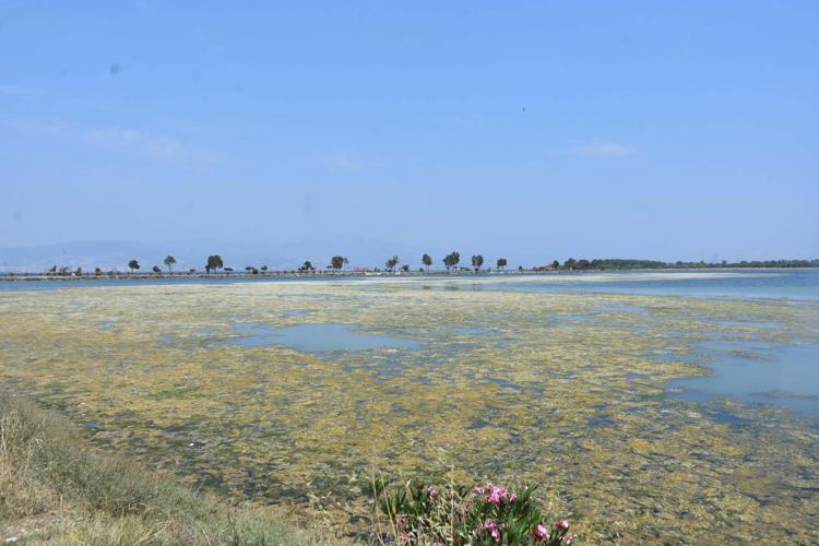 DERELERİN ALTINDAKİ BETON KIRILMADAN KOKU ÖNLENEMEZ
