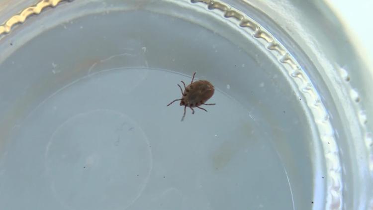 KKKA GEÇİRENLERİN KAN ÖRNEKLERİ İNCELENDİ