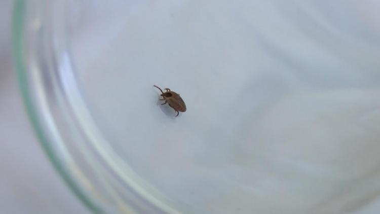 ‘ETKİNLİK TESTLERİ YAPIYORUZ’