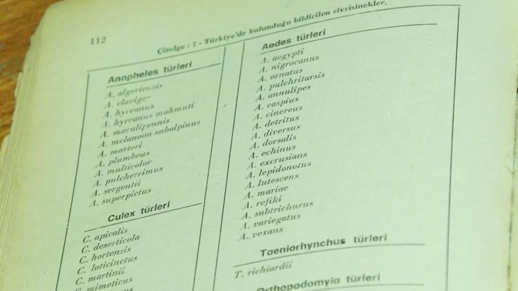 BATI NİL VİRÜSÜ NEDENİYLE ÖLÜMLER YAŞANIYOR