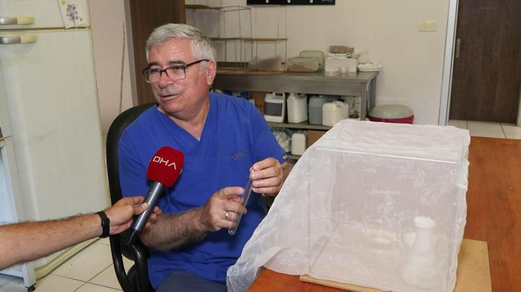 ASYA KAPLANI 1926 YILINDAN BERİ İSTANBULDA VAR