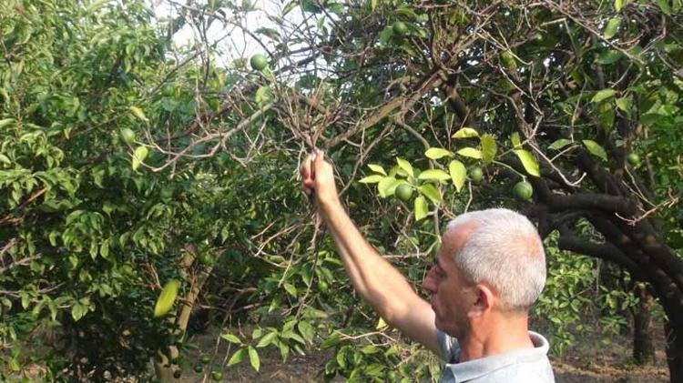 TEK GEÇİM KAYNAĞIMIZ KURUYOR