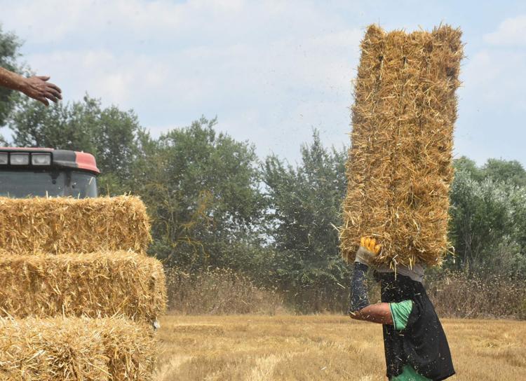 BU SICAKTA HERKES ÇALIŞAMAZ