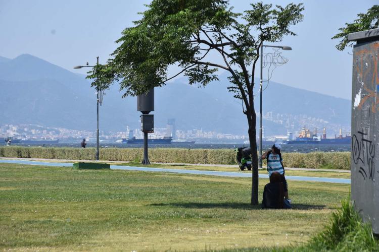 DÜNYA 1.5 SANTİGRAT ISINDIĞINDA DÜNYADAKİ BİTKİLERİN YÜZDE 4Ü YOK OLACAK