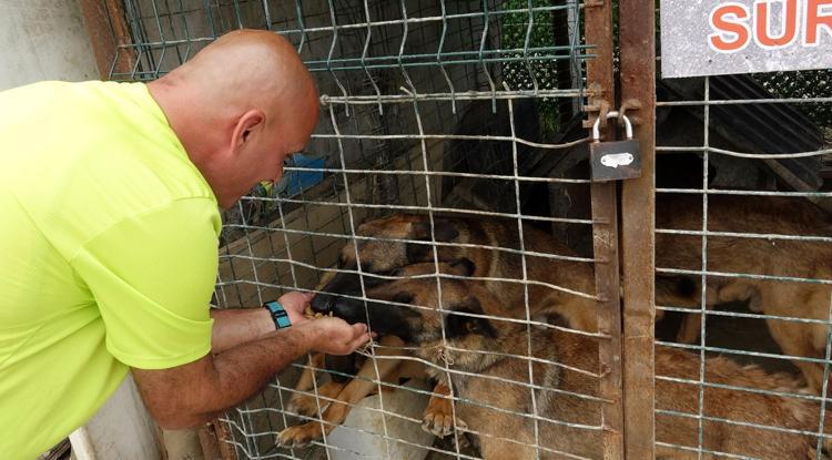 EŞİMİN ÇAY YEVMİYESİNİ BİLE BU İŞE YATIRDIM