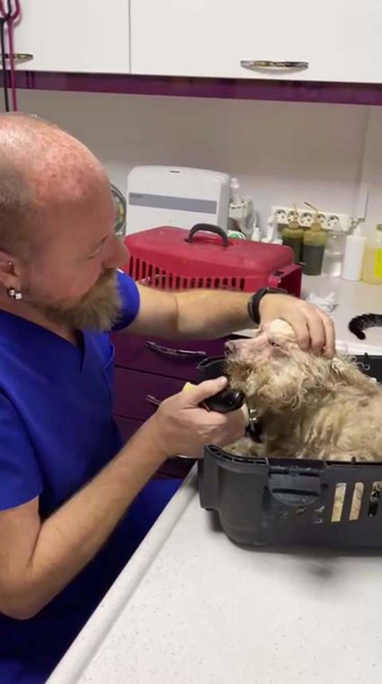 POLİSLERE ENGEL OLMAK İSTEDİ