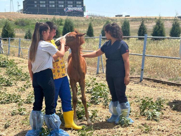 TÜM UYGULAMALARI GÖRDÜLER