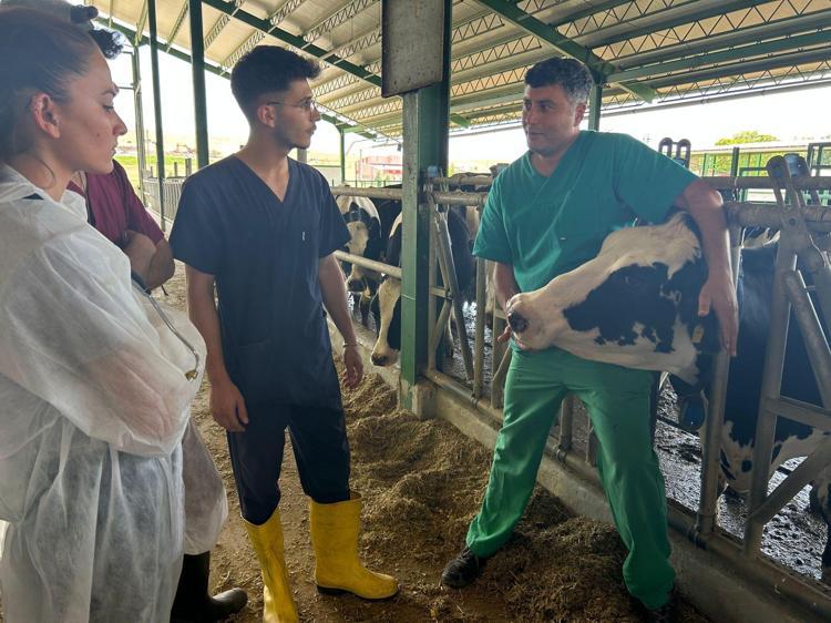 DONANIMLI BİR ŞEKİLDE GÖNDERİYORUZ