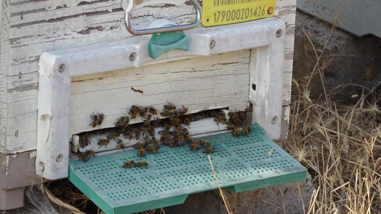 DIŞ CEPHE BOYASIYLA BOYANMASINDA YARAR VAR
