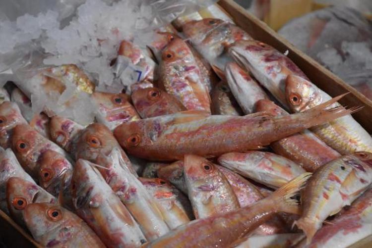 GÜVENEREK BALIK TÜKETİN