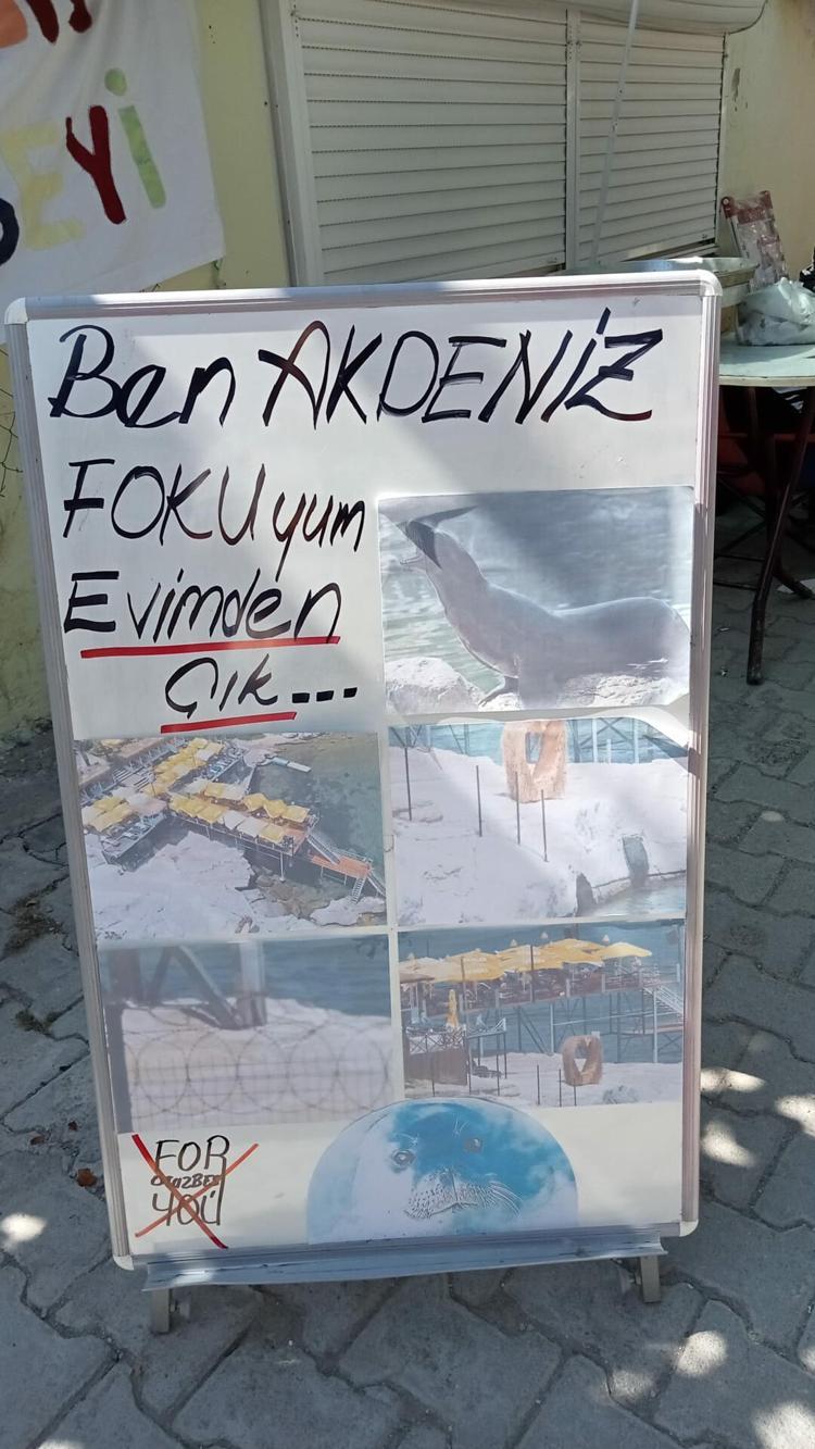 BU İSKELE DOĞA KATLİAMIDIR