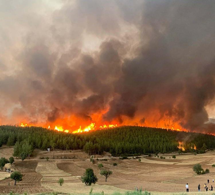 YAKLAŞIK 20 BİN KİŞİ AĞAÇLANDIRMA SÜRECİNDE ÇALIŞTI