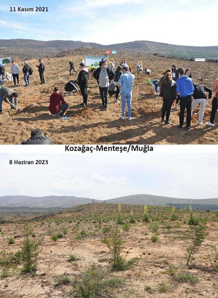 15 GÜNLÜK SÜREDE 75 YANGIN ÇIKTI