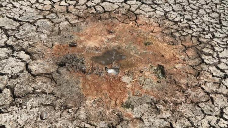 GEÇEN YIL YÜZDE 74.55 İDİ, BU YIL YÜZDE 18.47YE DÜŞTÜ