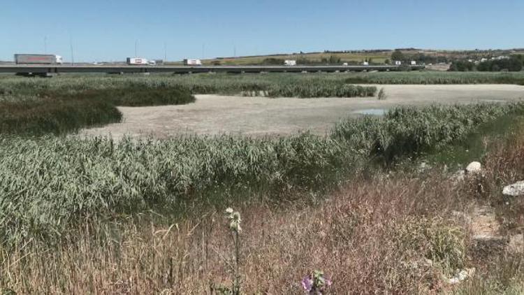 ÖNCEDEN BURADA PİKNİK YAPILIR BALIK TUTULURDU