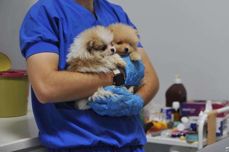 ‘BUNLAR YAŞAYARAK GELENLER, BELKİ YOLLARDA ÖLENLER DE VAR’