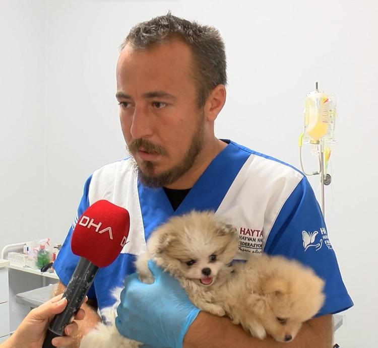 ‘ÜRETİMİ DURDURURSAK BU IZDIRAP BİTECEK’