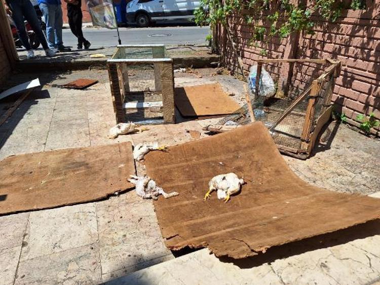 HANGİ İNANÇ BUNU KABUL EDER