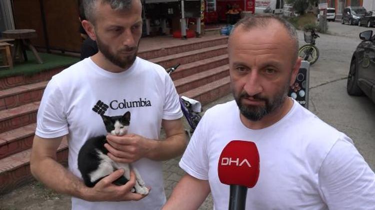 GELMEZ DEMİŞTİK AMA ÇIKIP YİNE GELDİ