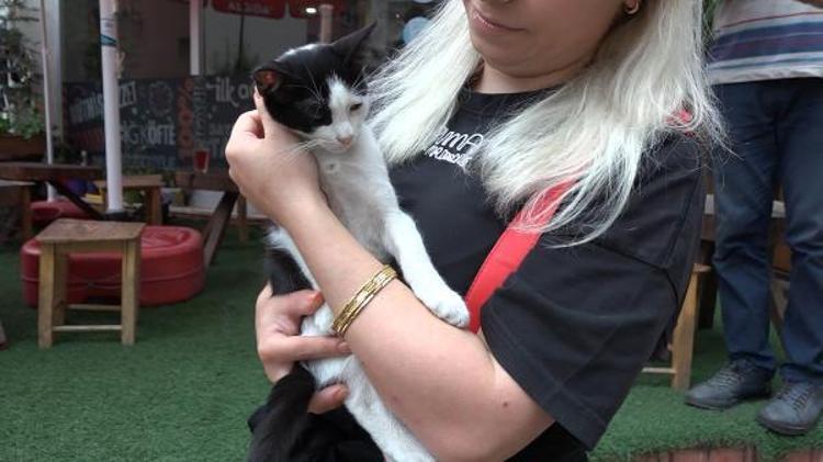 ÇIKAR ÇIKMAZ GELİP KEDİ ALMAYA ÇALIŞTI