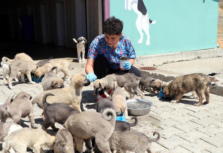 SAHİPLENDİRME, BELLİ KRİTERLERE GÖRE YAPILIYOR