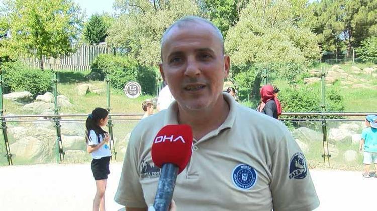 ‘HAYVANLARIMIZIN ÇOK HOŞUNA GİDİYOR’