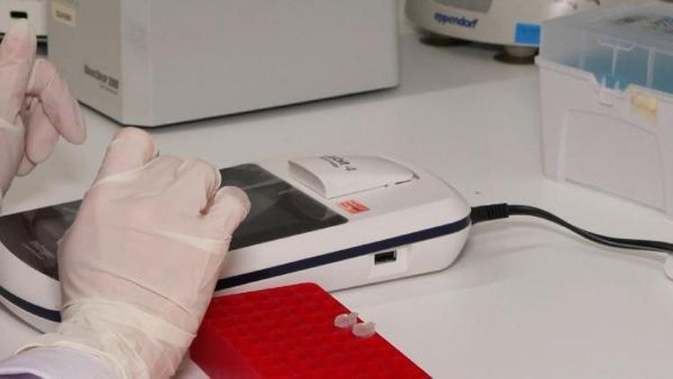 ÇEVRESEL ÖRNEKLERİN PARMAK İZİNİ ORTAYA KOYUYORUZ