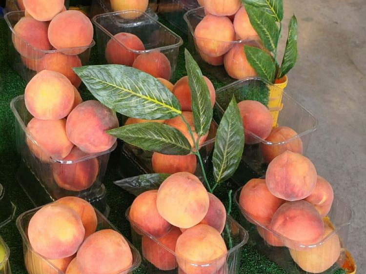 BAZI MEYVELERDE GÖLGELEME GEREKLİ