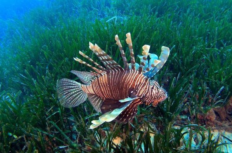 TÜR SAYISI 90A ULAŞACAK