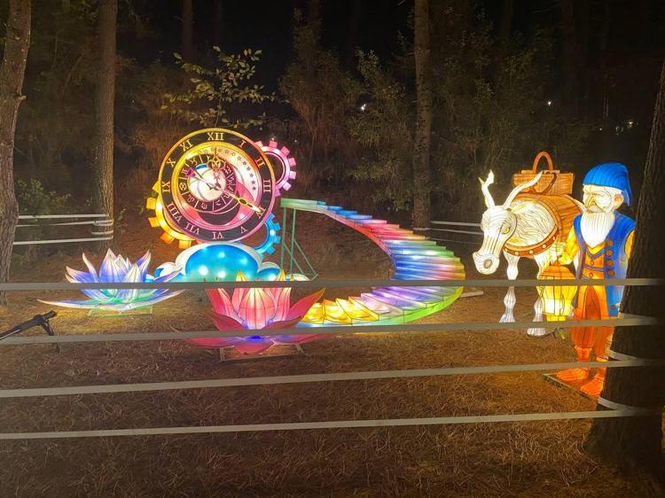 ORMANIN İÇİNDE BÜYÜLÜ BİR DÜNYA KURDUK