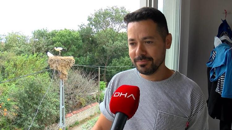 HER SENE GELİP YUVA YAPIYORLAR