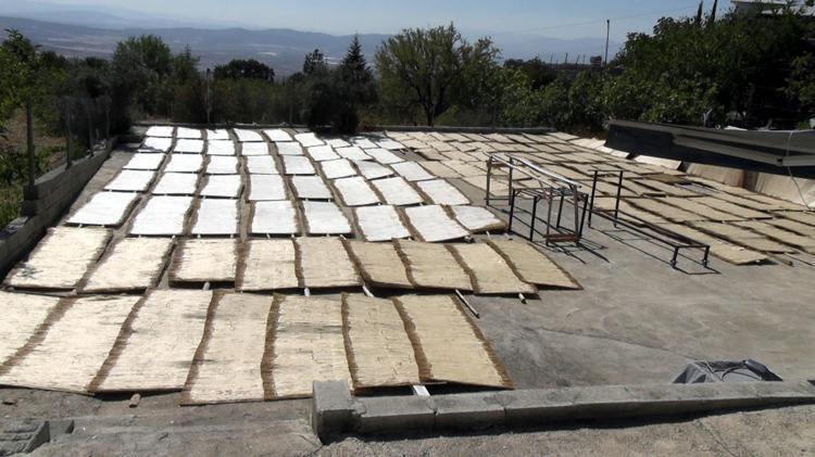 3 AY SONRA TESCİL EDİLECEK