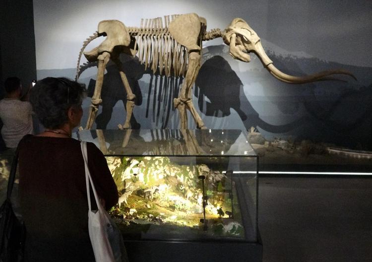 PALANDÖKEN KÜLTÜR YOLU FESTİVALİ