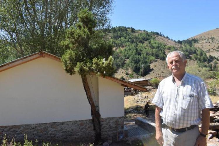 BU AĞAÇ ARTIK BİR ANI