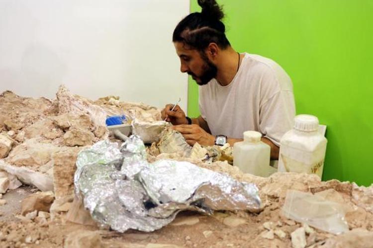 ÇEVRESEL ETMENLERLE DEĞİŞİKLİKLER MEYDANA GELMİŞ