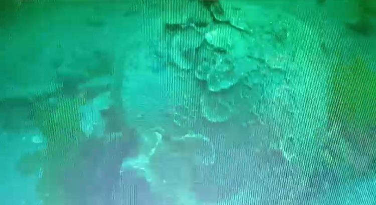 1 AY ÖNCE YAPTIĞIMIZ EĞİTİM DALIŞINDA BULDUK