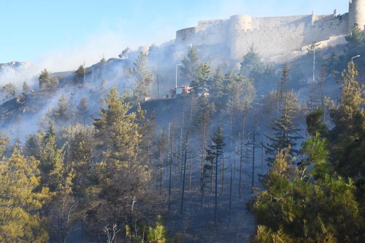 KONTROL ALTINA ALINDI