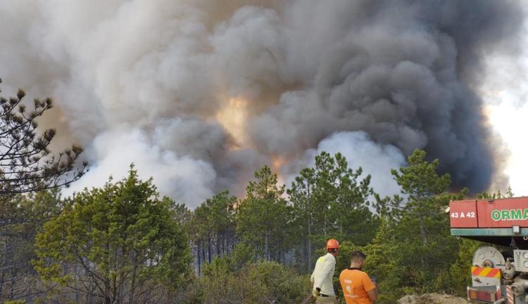 YANGINDA 300 HEKTARLIK ALAN ZARAR GÖRDÜ