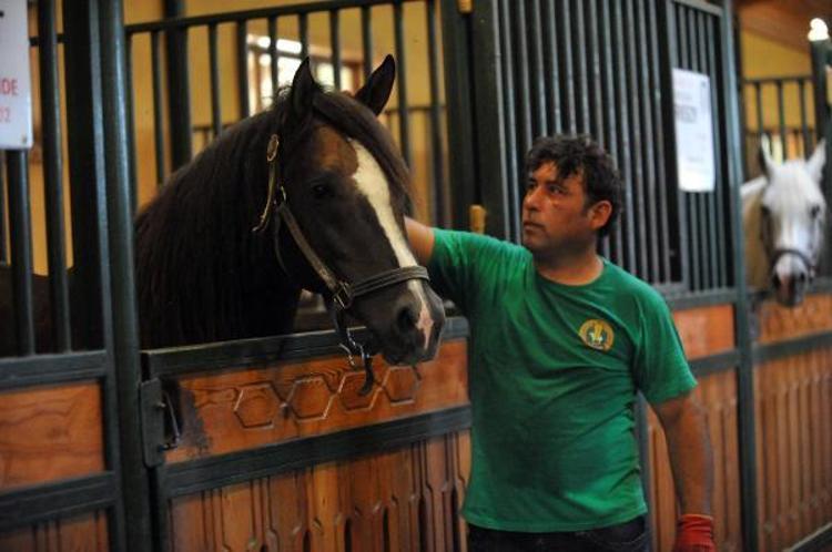 ‘MERADA RAHAT GEZMEKTEN VE KOŞMAKTAN ÇOK HOŞLANIRLAR’