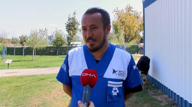 BU FELAKETİN EN ÇOK ETKİLENENLERİ CAN DOSTLARIMIZ OLDU