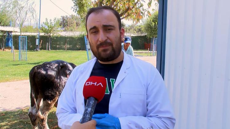 İYİLEŞMESİ ZAMAN ALACAK