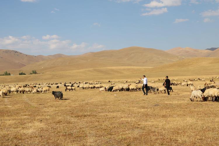 Bu durumun bölge için önemine dikkat çeken Yiğit, şöyle konuştu: