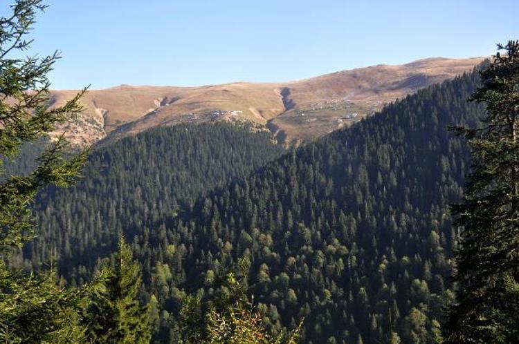 KARADENİZDE SONBAHAR VE KIŞ MEVSİMİNDE YANGIN ÇIKIYOR