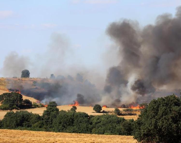 YANGINLARLA MİKROORGANİZMALAR DA YANIYOR